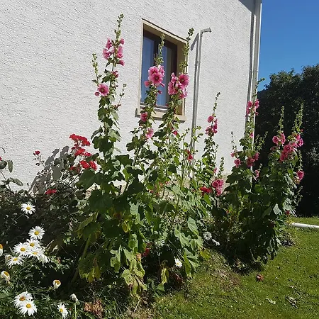 Haus 