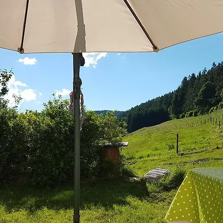 Haus 